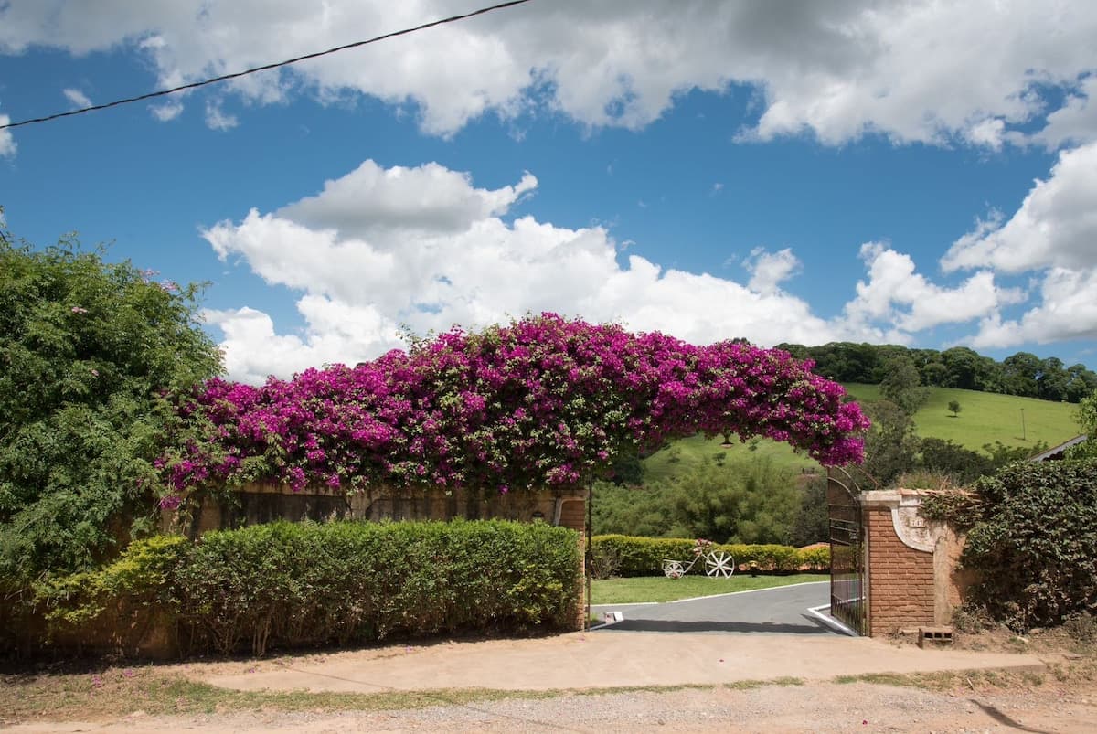 Área Externa