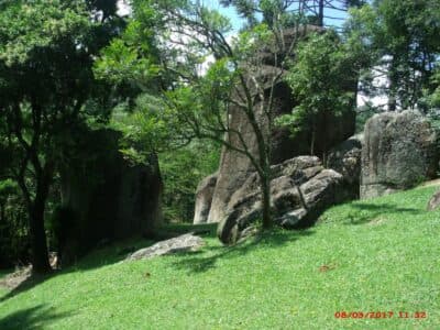 Natureza